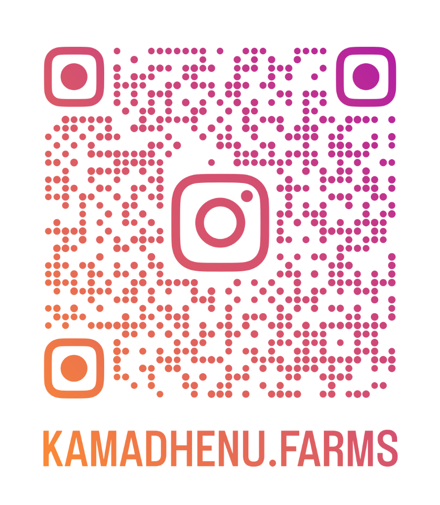 Instagram QR Code